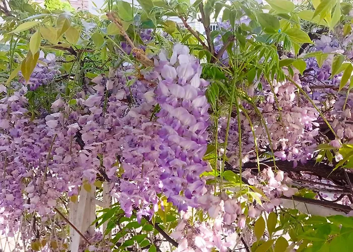 Belgrade Apartment Happy Garden