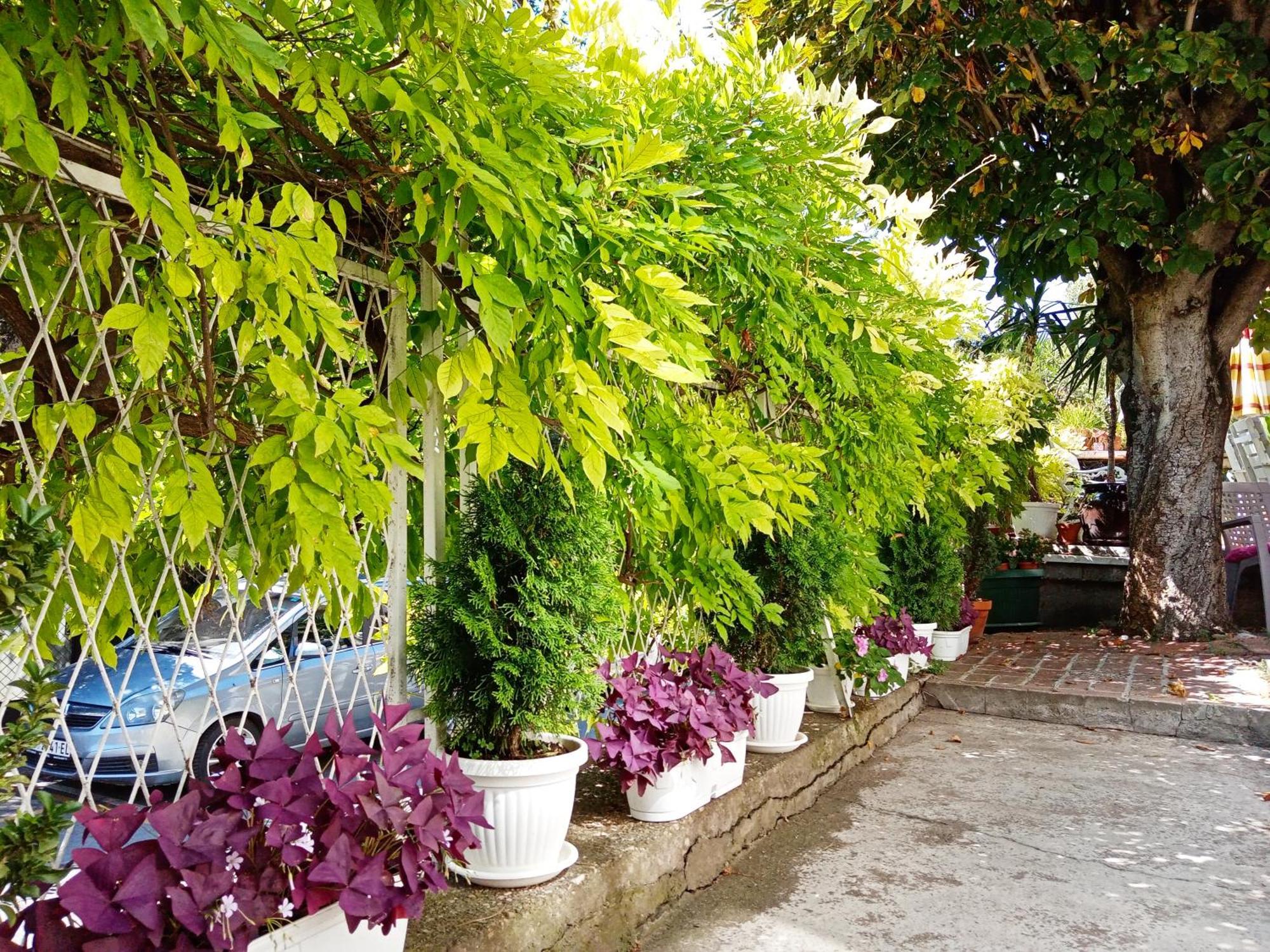 Happy Garden