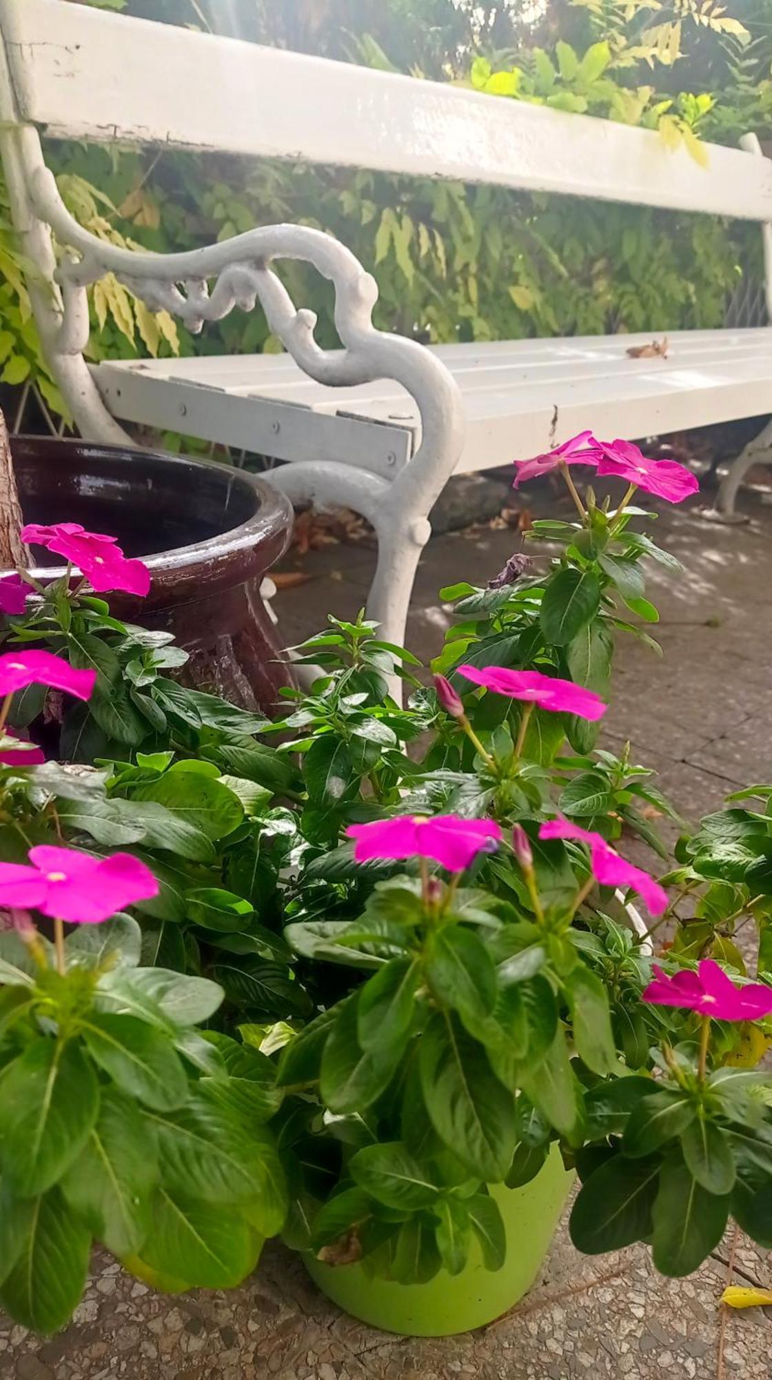 Happy Garden