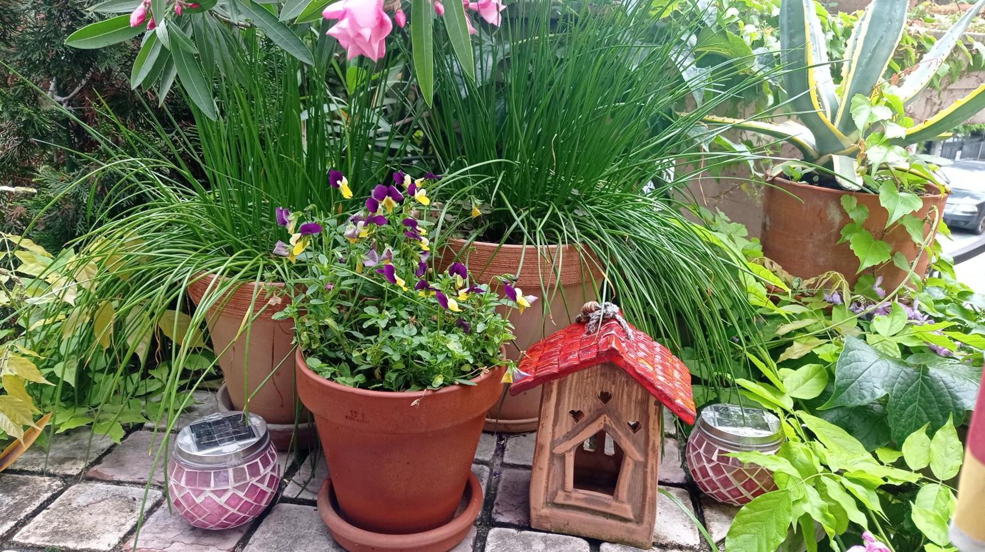 Happy Garden Belgrade