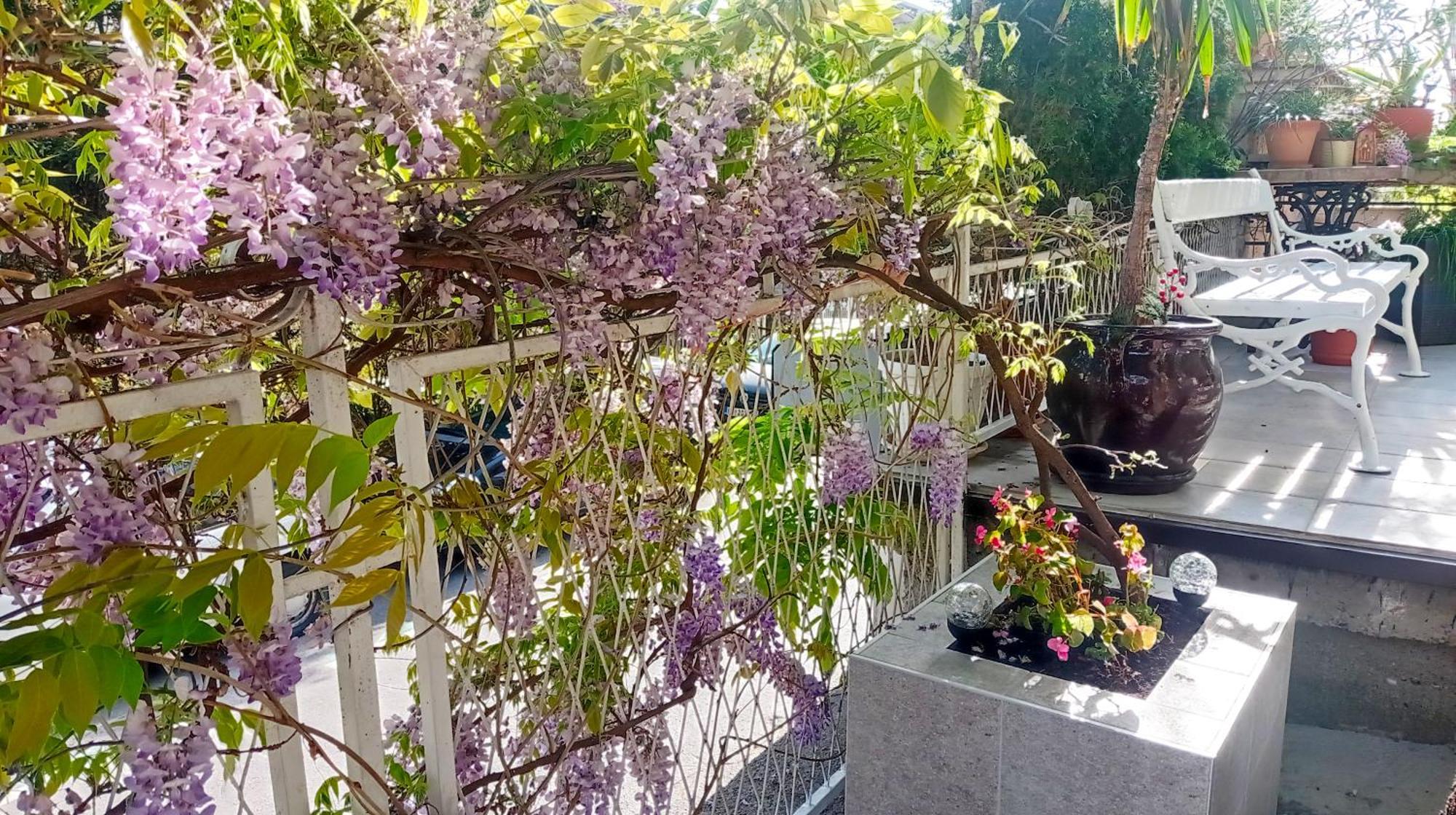 Happy Garden *